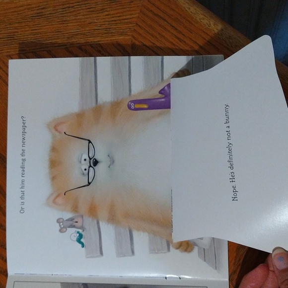 ✨5/$15✨ Children's Book - Splat the Cat Where's the Easter Bunny? Flap Book - Picture 7 of 15